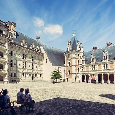 Gite De La Tour De Loire - 65 M2 Au Pied D'Une Tour De Gue Du 17Eme Siecle Mer Buitenkant foto